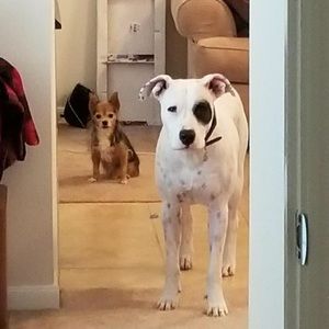 Meet your Posher, Allison